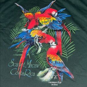 The Mountain Scarlet Macaw Parrot Tee